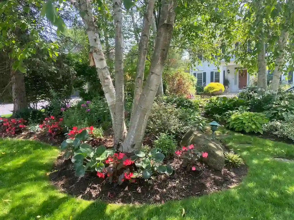 Garden Design and Installation
