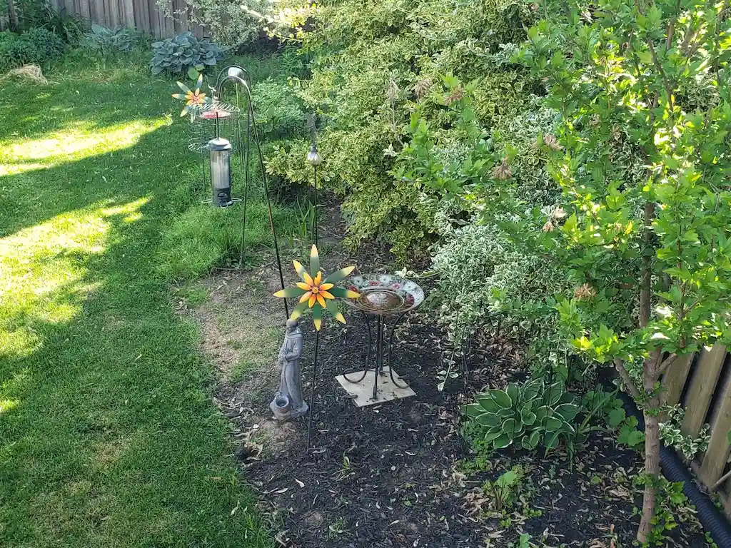 Garden Clean Up, before