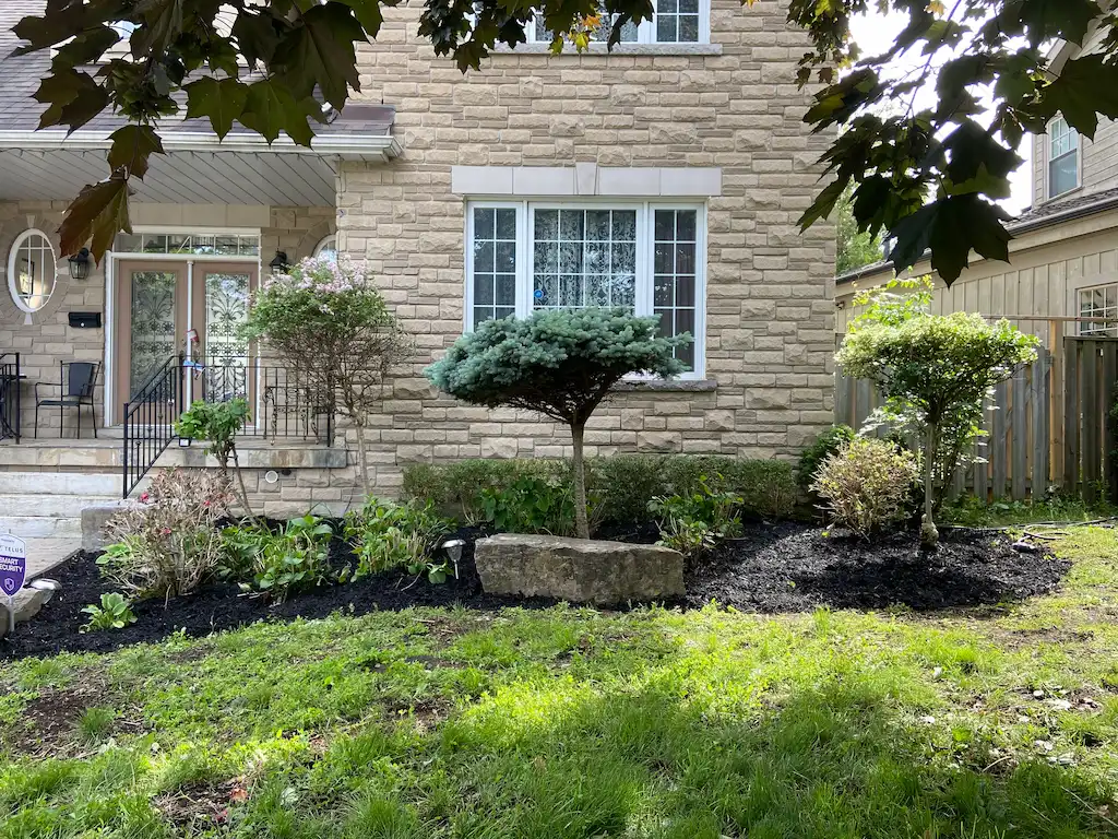 Front Garden Clean Up, after