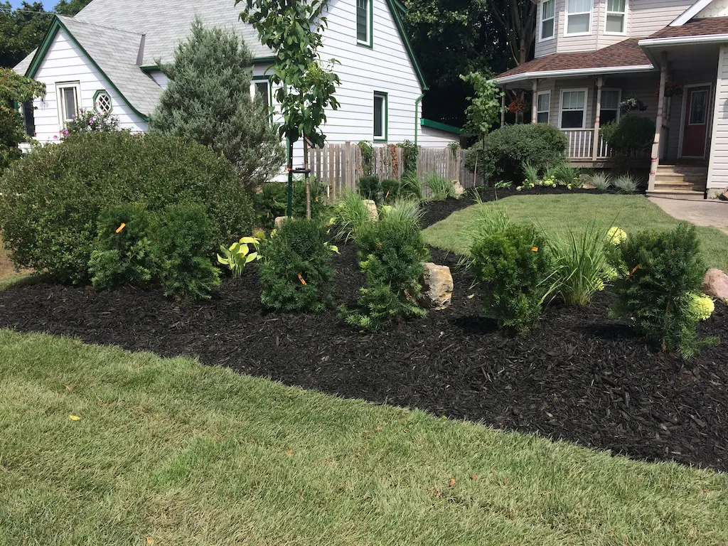 Front Yard Planting, after