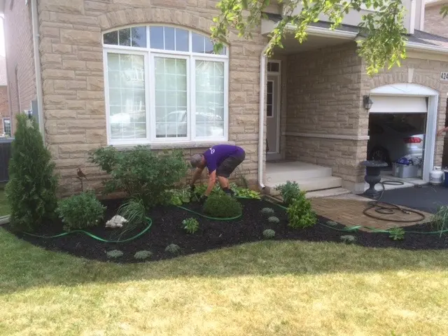 Garden Maintenance