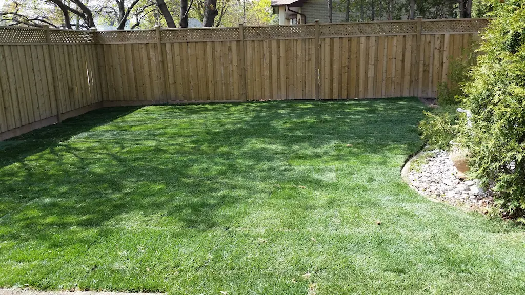 Sodding, after