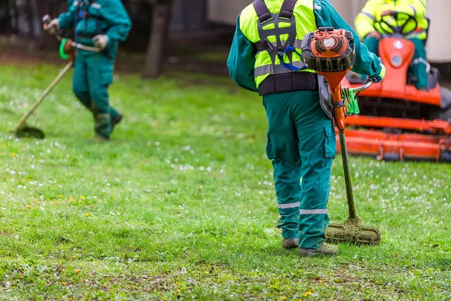 How to choose a yard cleanup company in the Greater Toronto Area