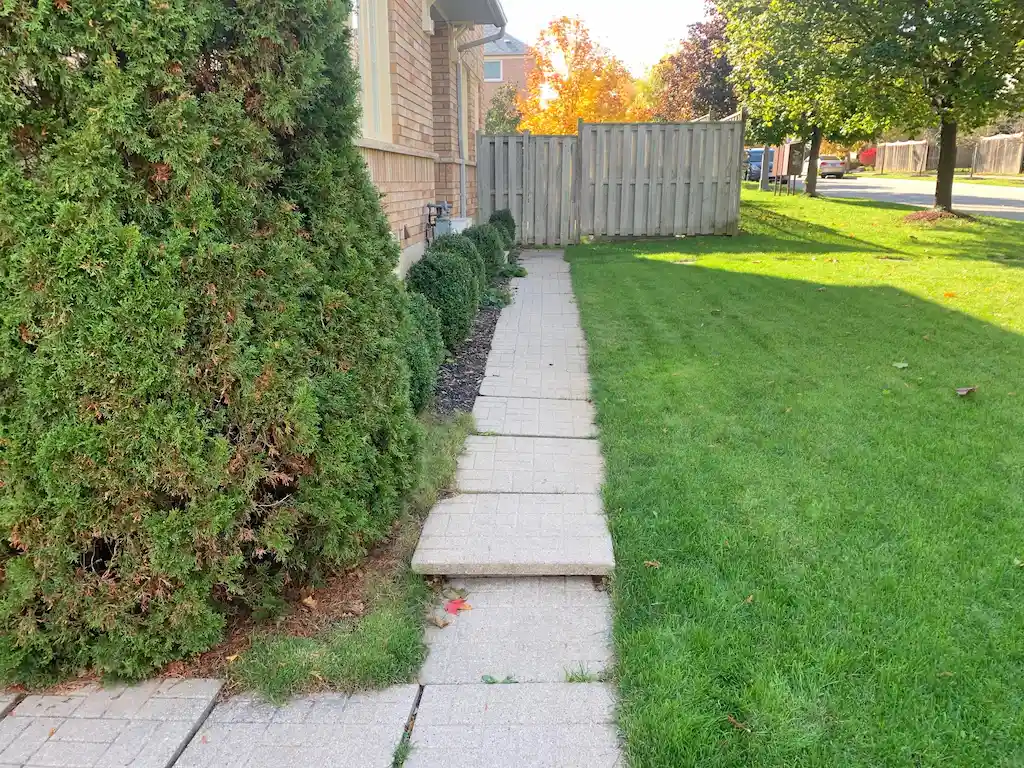 Sideyard Path, before
