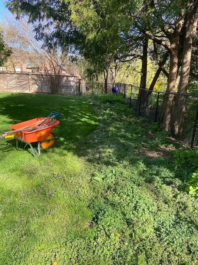 Garden Planting, before