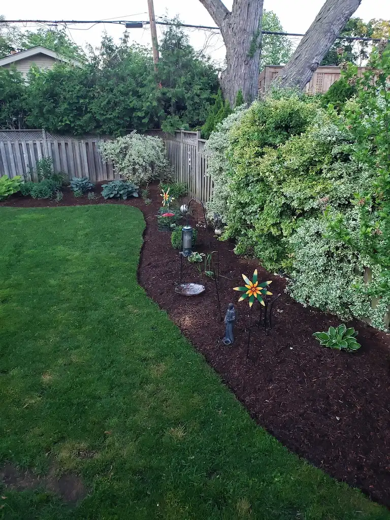 Garden Clean Up, after