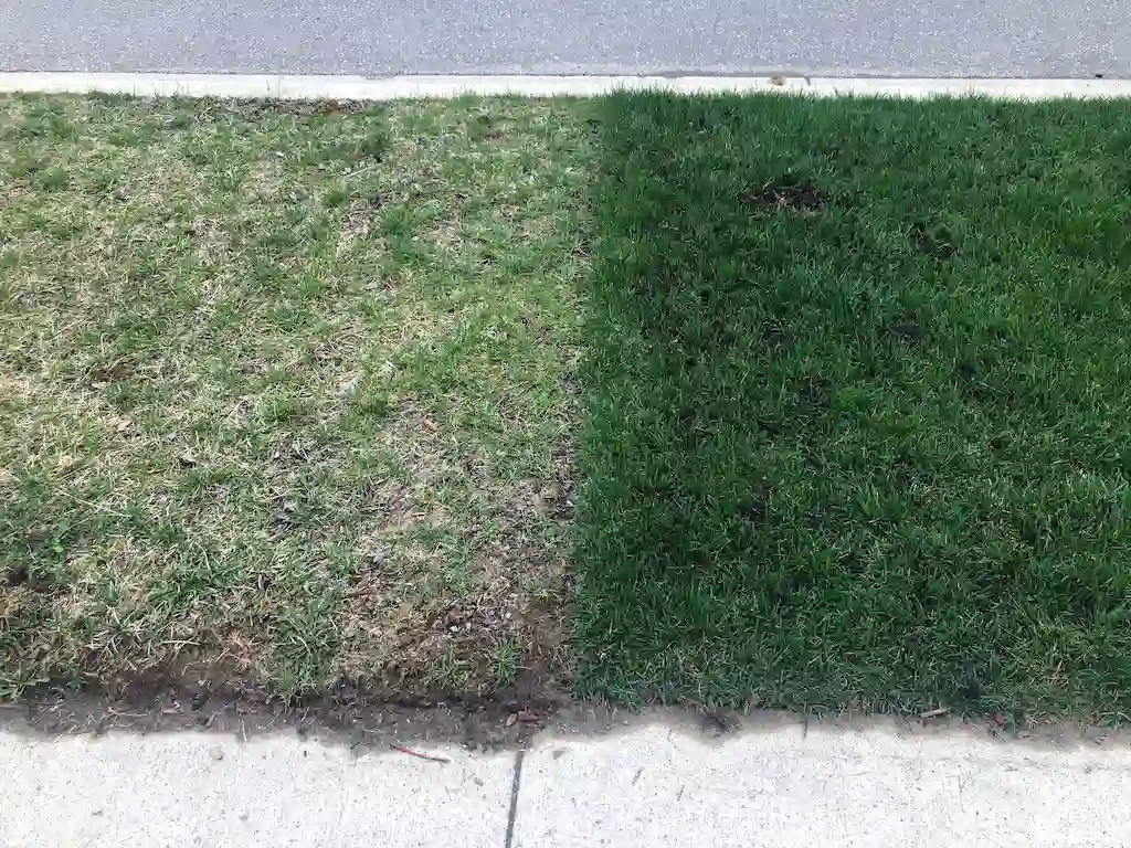 Lawn Fertilizer Service
