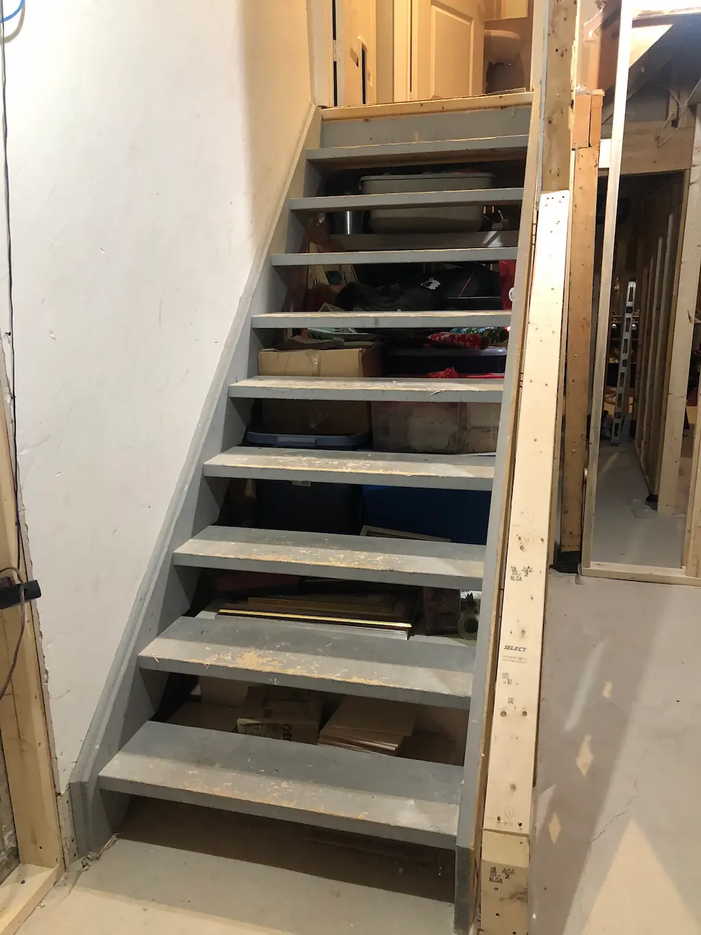 Burlington Basement Renovation before 6