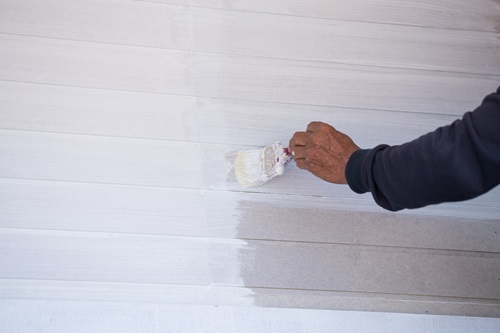 Vinyl Siding Painting