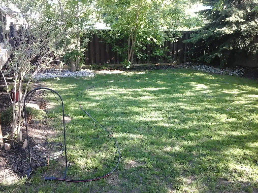 Backyard Renovation, before